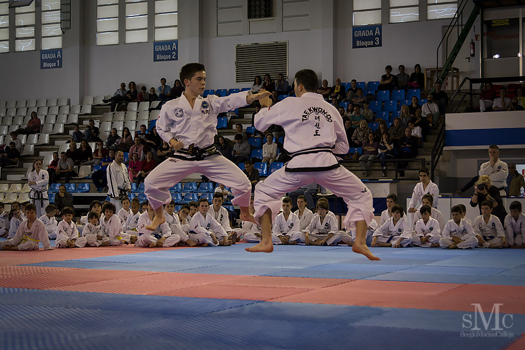 DIA DEL TAEKWONDO ABRIL 2017_3899.JPG